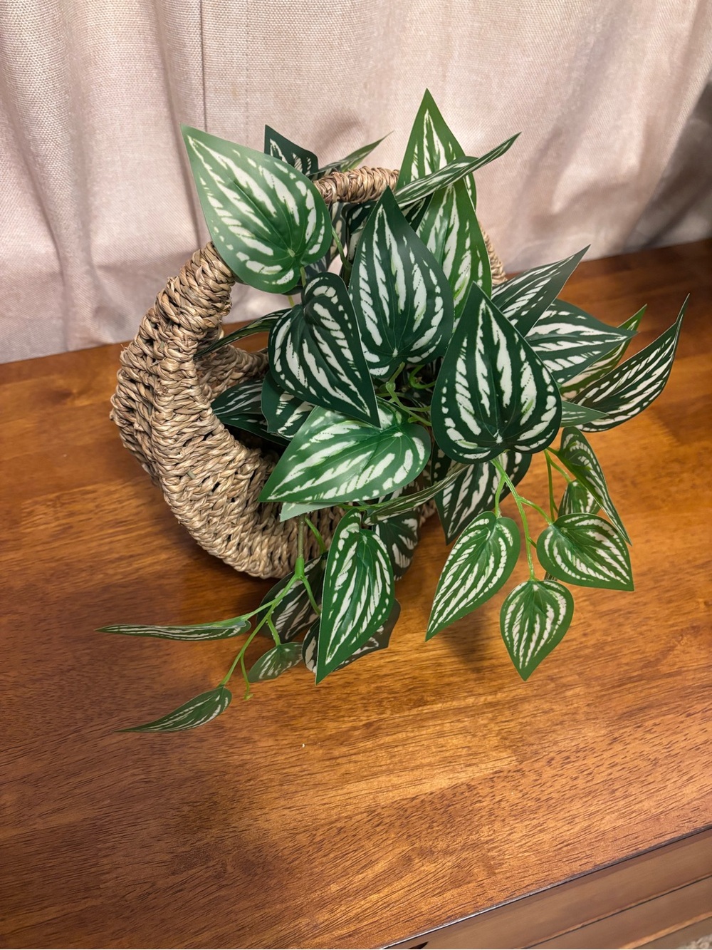 Green & White Artificial Pothos in Woven Basket - Home Accents